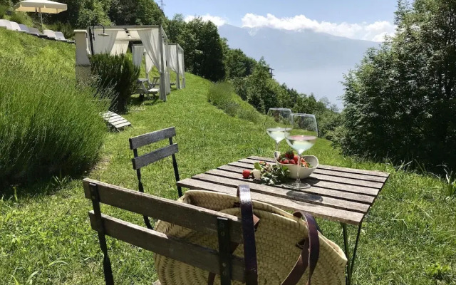 villa vigne