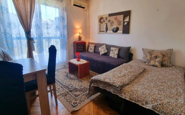 Apartment Dorcol Belgrade