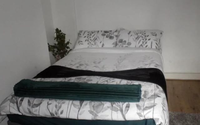 Earlycheckin Spacious House w/ Parking in London