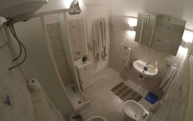 a Vacation That Becomes a Dream