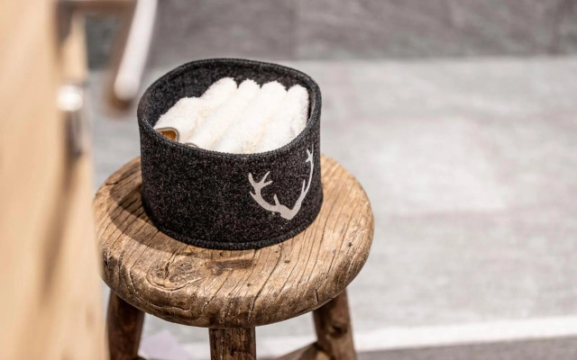 Unique Alpic style apartment in the heart of Davos