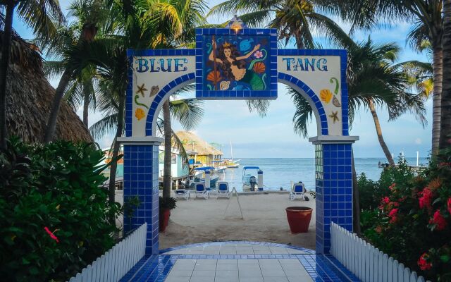 Blue Tang Inn