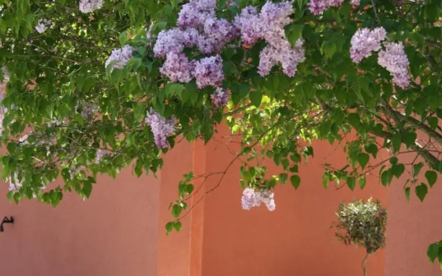 Agriturismo La Morla