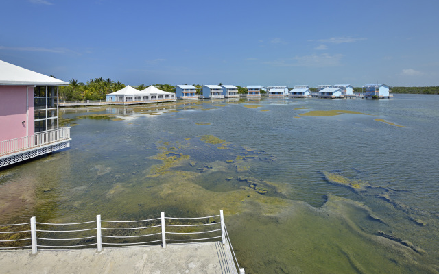Melia Cayo Coco (Adults Only)