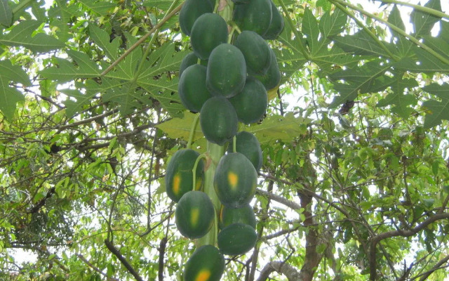 Zen Rooms Main Street Negombo