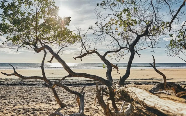 Rapture Surfcamps Costa Rica