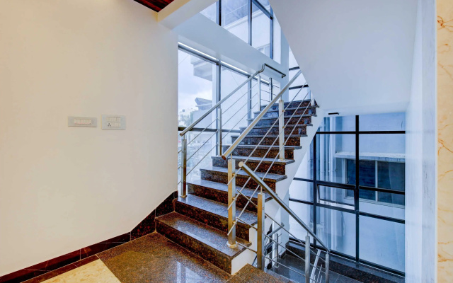 Super Collection O Royal Elevar