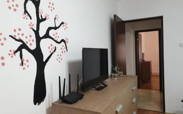 Apartament La Vivi