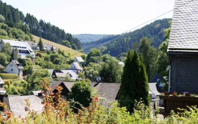 Apartment Near Willingen With Private Terrace