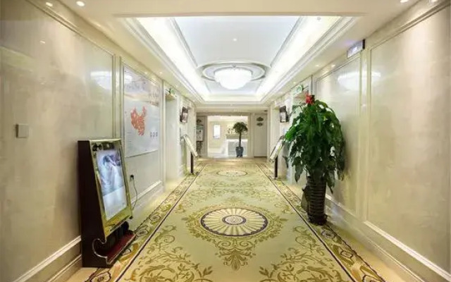 Vienna Hotel