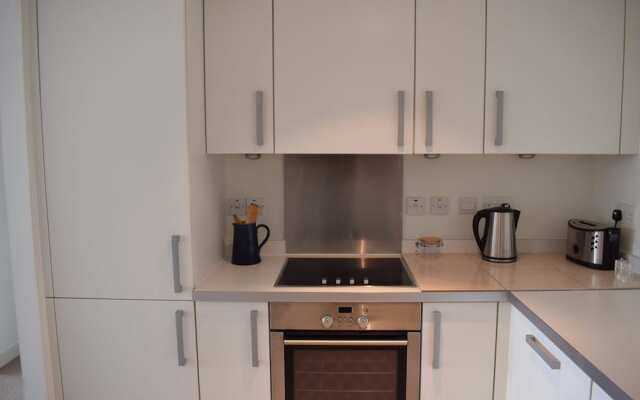 1 Bedroom Apartment in Battersea With Roof Terrace