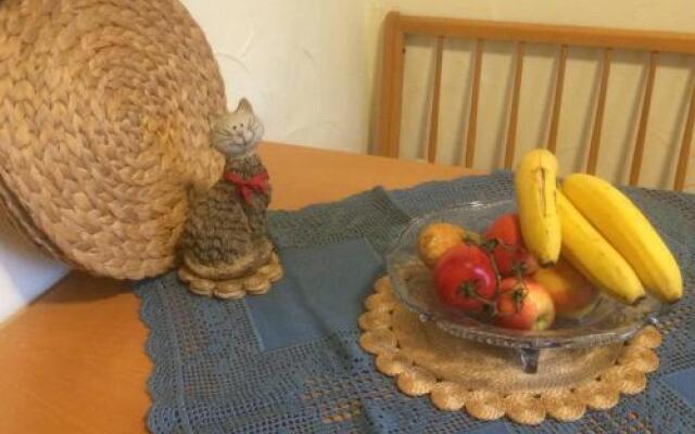 Ferienwohnung Im Grünen Haus