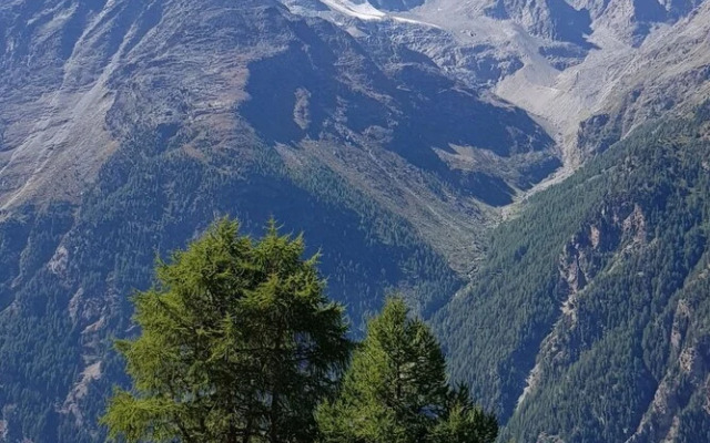 Saasunia Saas-grund in Saas-grund