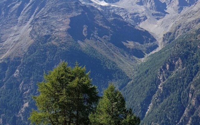 Saasunia Saas-grund in Saas-grund