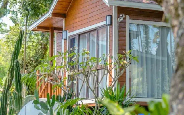 The Forest B&Bs