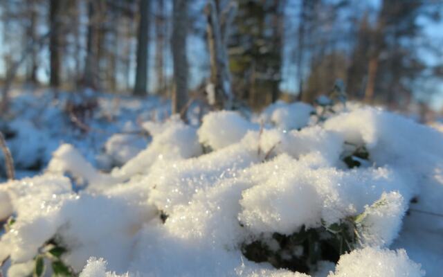 Lapland Getaway - Hostel