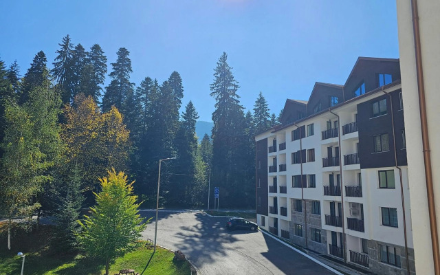 Apartment In Borovets Gardens C17