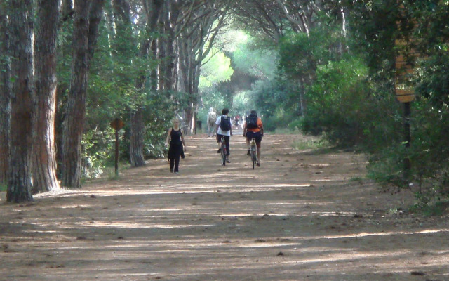 New Camping Le Tamerici