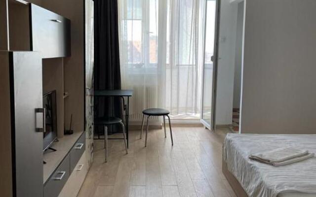 Bega Cirumvalatiunii One Room Apartment- 4