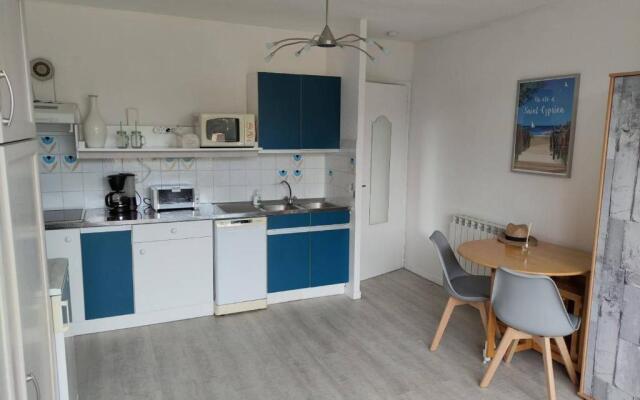 Appartement Saint-Cyprien, 1 pièce, 4 personnes - FR-1-225D-5