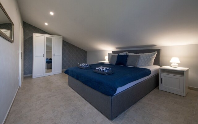 Laurus Tuli Evica in Tuli Evica