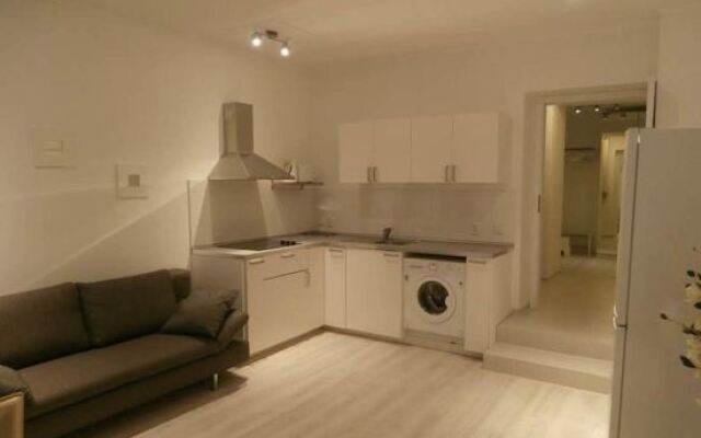 Apartment Mladějovského