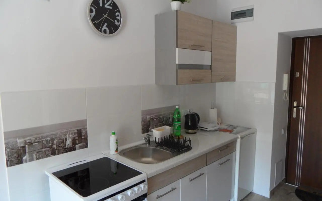 Apartament Kraszewskiego