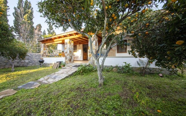 Invigorating Home Surrounded by Nature in Gumusluk