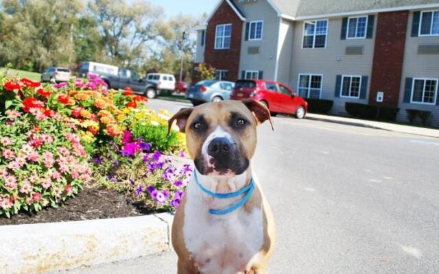 CrestHill Suites Wichita