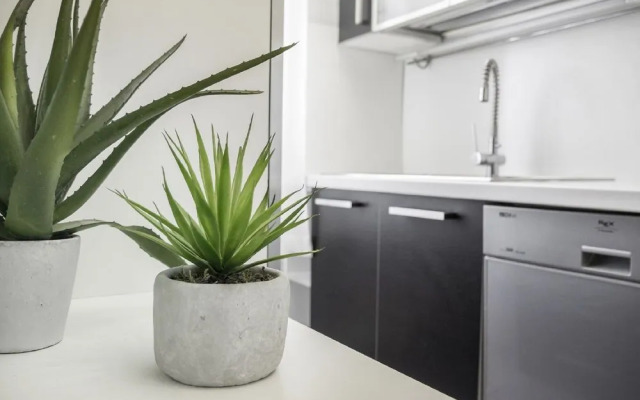 Grand Canal Rialto Palace Lift