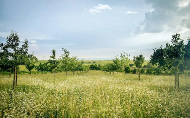 Doppelhaushalfte, Zingst