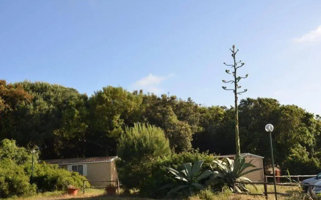 Parco Della Gallinara