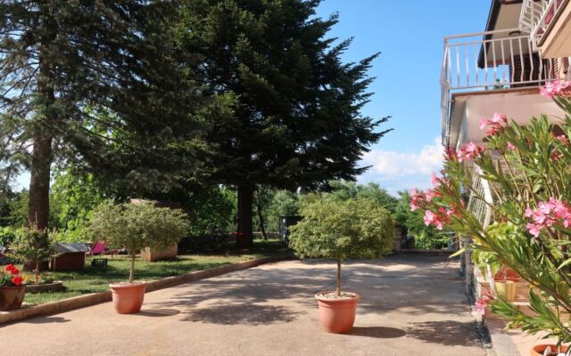 Mirjana (LBN312) 22664