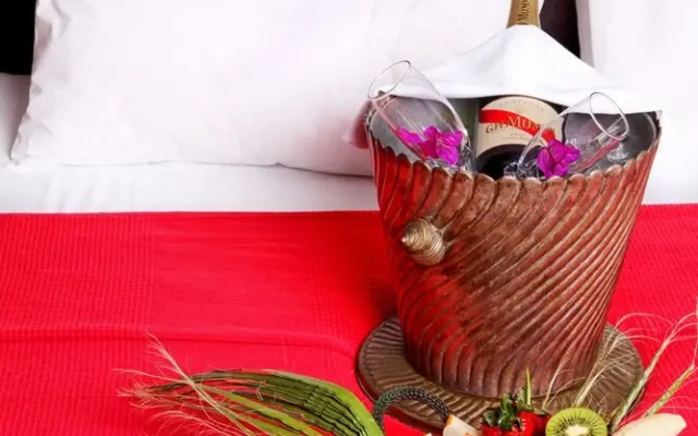 Pitahaya Home Turkbuku