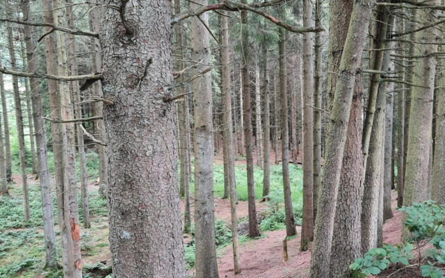 T 'n D house/ Terrasses de Malmedy