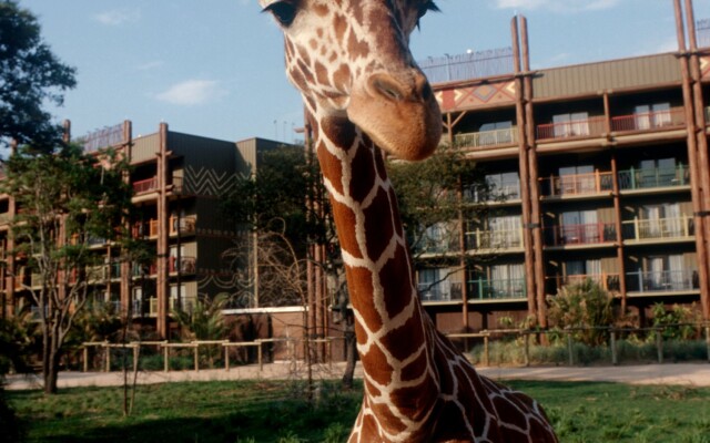 Disney's Animal Kingdom Lodge