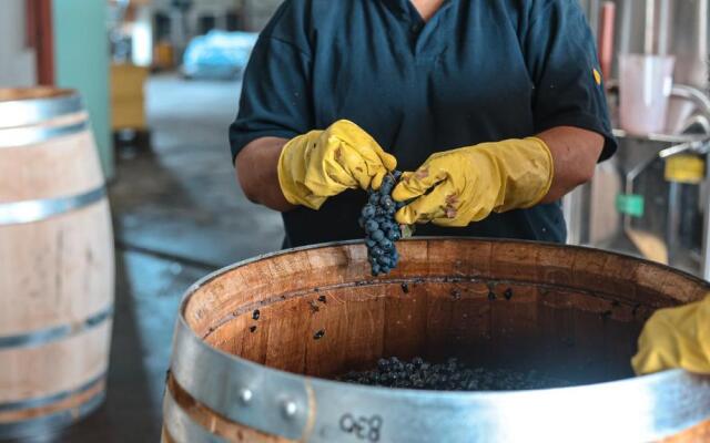 Algodon Wine Estates and Champions Club