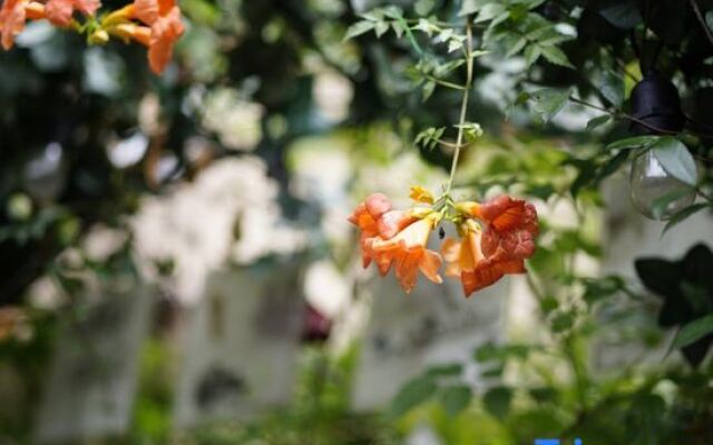 Mrs＇ X Coffee Hotel