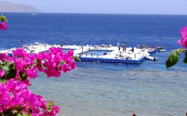 Domina Coral Bay Oasis