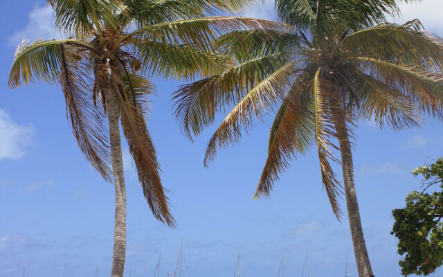 Anegada Reef Hotel