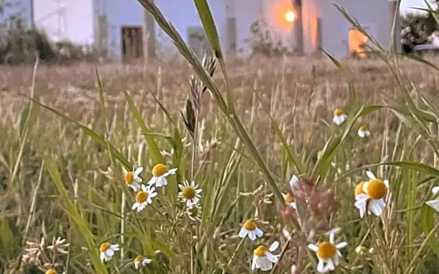 La Casa Degli Artisti