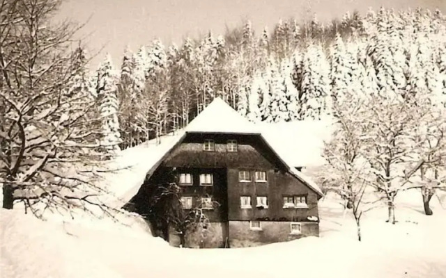 Ferienwohnung Titisee