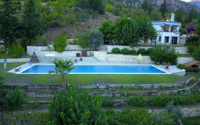 Trinitys Forest Bungalows