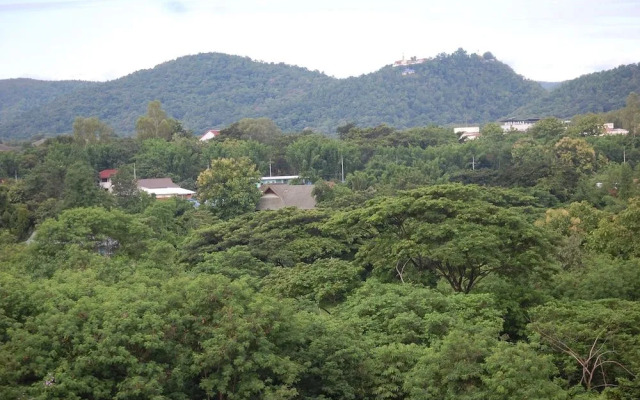 zZz Crest Chiang Mai