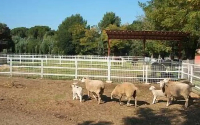 Agriturismo La Meridiana