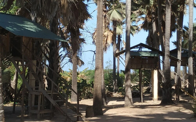 Unspoiled South Gambia Paradise