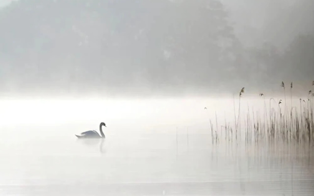 Hotel Altes Zollhaus