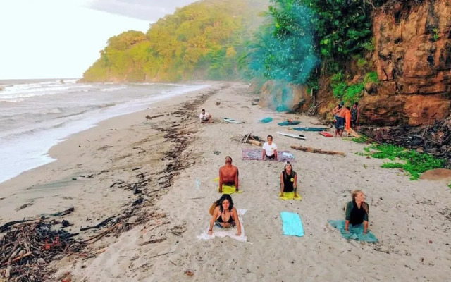 Tree of Life - Hostel