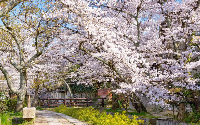 Karasuma Rokujo Hotel