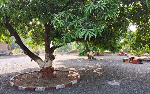Dev Farm Sasan Gir